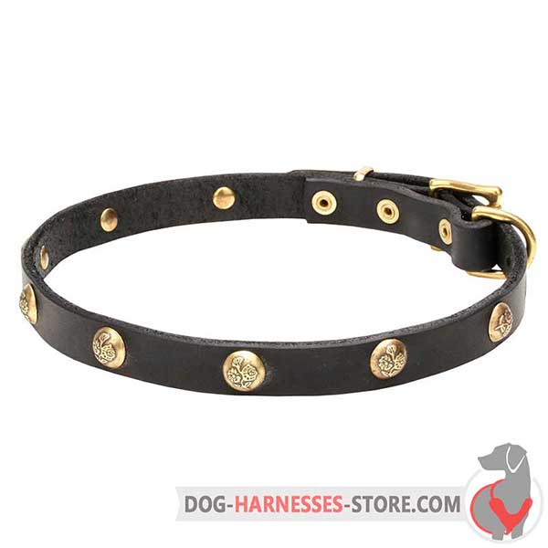 Studded Leather Dog Collar with Floral Design Brass Decorations