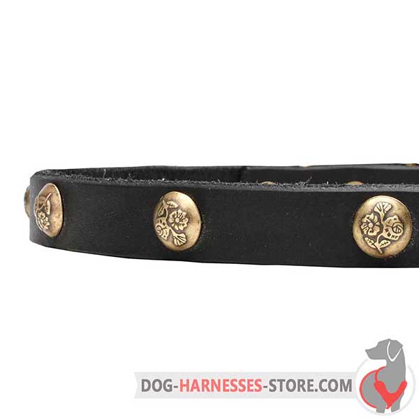 Genuine Leather Dog Collar with Brass Studs