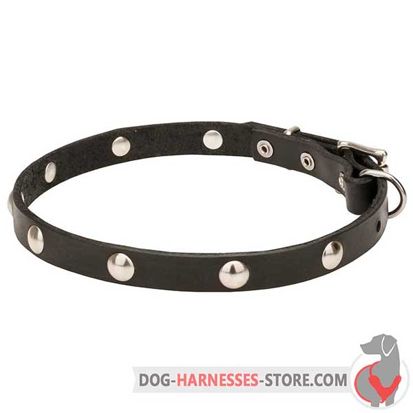 Leather Dog Collar Decorated with Chrome Plated Half-Ball Studs