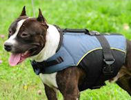 Dog Vest for PITBULL Terrier - PITBULL Dog Coat /Jacket