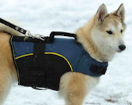 Siberian Husky coat - Nylon Dog Harness with handle for Husky