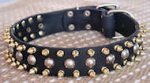 3 Rows brass Leather Spikes & Studded best Dog Collar