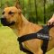 Multifunctional Nylon Pitbull Harness with ID Patches