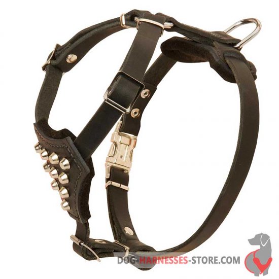 Small Dogs Leather Harness with Nickel Pyramids