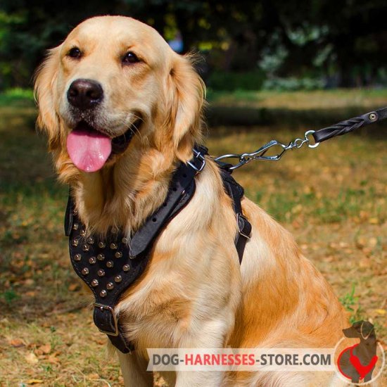 Designer Golden Retriever Harness For Walking Custom Dog Harnesses For Pulling Training Tracking Walking 2021 Buy Now