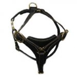 Tracking Walking Leather Dog Harness for all Breeds