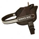 Nylon Dog Harness for Training and Walking