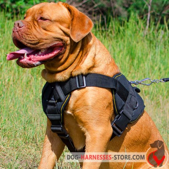 Nylon Dogue de Bordeaux Harness with Padded Chest Plate