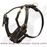 Exclusive Luxury Handcrafted Padded Leather Dog Harness Briard