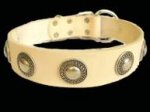 Gorgeous Wide Leather Dog Collar With Silver Conchos