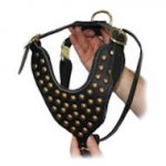 Studded Great Dane Harness for Walking and Training
