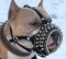 Royal Spiked Leather Dog Muzzle