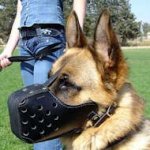 Leather dog muzzle "Dondi" style- agitation dog muzzle m55