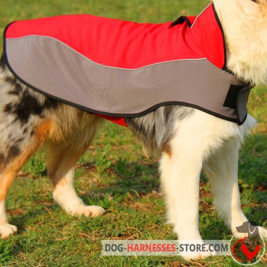 Boxer Nylon Winter Dog Coat for Walking