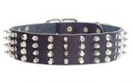 2 inch Leather Dog Collar with STUDS and SPIKES for walking dogs