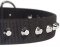 1 Row Studs Dog Collar-1 1/4" for every day walking dogs