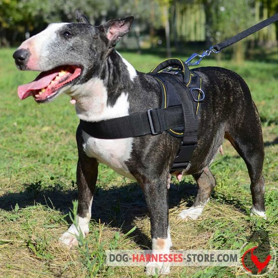 All Weather Nylon English Bull Terrier Harness for Pulling/Tracking/Walking