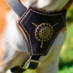 Padded Leather Dog Harness for Belgian Malinois Puppy