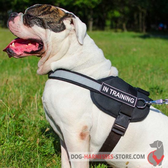 Reflective Nylon American Bulldog Harness for Walking and Training