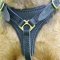 Walking leather Wirehaired Pointing Griffon harness