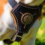 Cane Corso Tracking / Walking Leather Dog Harness for Puppies