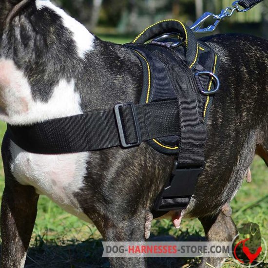 mountain dog harness