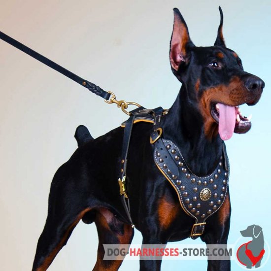 Doberman Royal Dog Harness - Exclusive Design Leather Harness