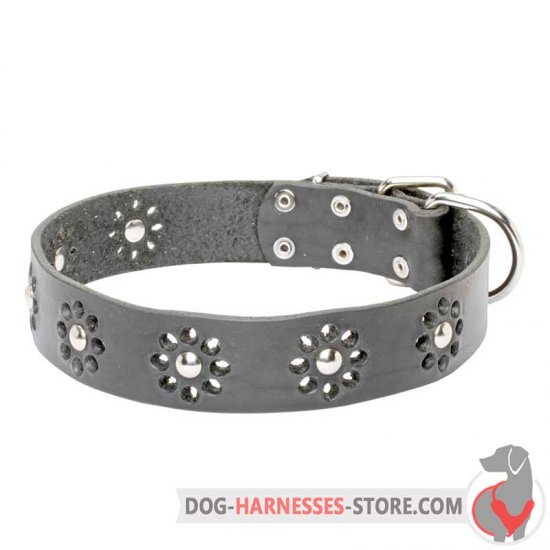 Blooming Leather Dog Collar with Printed Flowers and Nickel Plated Studs