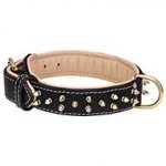 Spiked Leather Dog Collar with Soft Padding and Brass Hardware