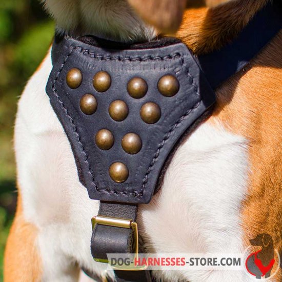Studded Leather Old English Mastiff Puppy Harness