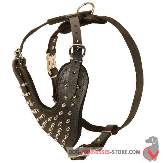 Designer Leather Dog Harness for Daily Walking