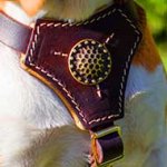 Decorated Leather American Bulldog Harness for Puppies