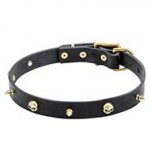 Rock Design Leather Dog Collar 25 mm Wide with Brass Spikes and Skulls