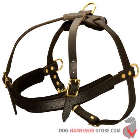 Pulling Leather Dog Harness - Dog Harness For Better Pull Control