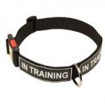 Identifying Nylon Dog Collar with Patches and Quick Release Buckle