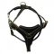 Leather Great Dane Harness For Professional Training