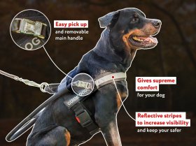 Lightweigh Guide Dog Harness - Assistance Nylon Dog Harness
