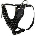 Spiked Leather Dog Harness - Custom handmade Deluxe Dog Harness