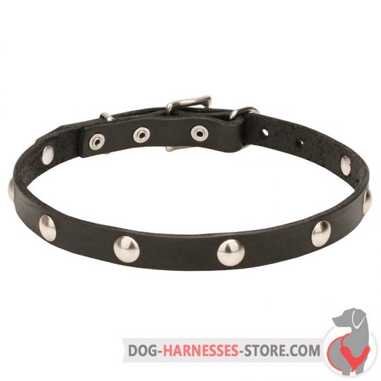 Studded Leather Dog Collar 20 mm Wide with Chrome Plated Half-Balls