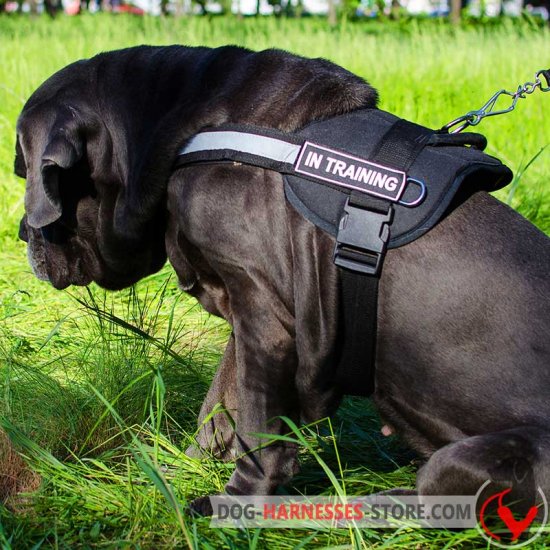 Reflective Mastiff Neapolitan harness for police and military dogs
