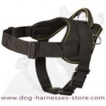 Australian Cattle Nylon Dog Harness for Pulling