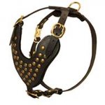 Studded Leather Dog Harness - Padded Leather Dog Harness