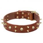 Rock Style Leather Dog Collar with Brass Spikes and Skulls