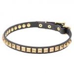 Slim Leather Dog Collar with Brass Square Studs