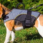 Labrador Adjustable Nylon Dog Harness for Rehabilitation and Winter Walking