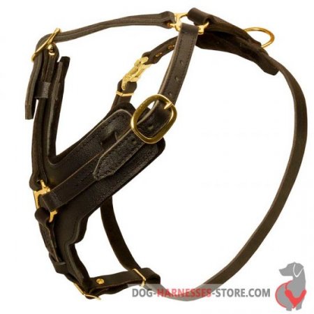 Training Handcrafted Padded Leather Dog Harness