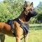 Agitation/Protection Leather Dog Harness for Belgian Malinois