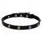 Floral Design Leather Dog Collar 20 mm Wide with Nickel Plated Studs