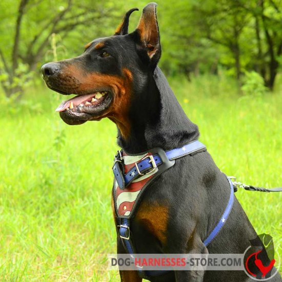 Leather Doberman Harness with American Pride Painting