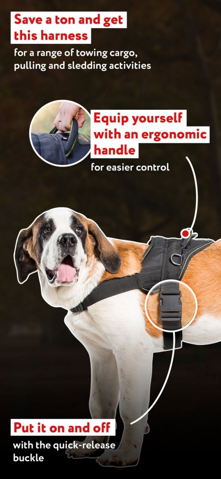 Nylon Dog Harness With Handle For Tracking, Training, Walking